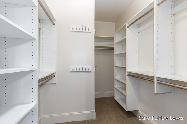 6501 Andres Xing Unit 14, Grandville, MI 49418 - spacious closet with carpet