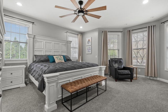 2693 Sanctuary Dr, Stevensville, MI 49127 - bedroom with recessed lighting and carpet floors