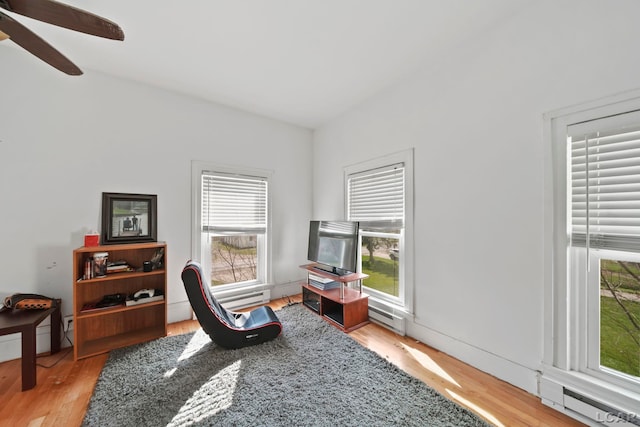 office with light wood-style flooring, a healthy amount of sunlight, and a ceiling fan