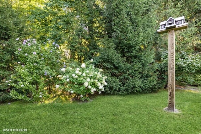 16191 4th Ln, Union Pier, MI 49129 - view of yard