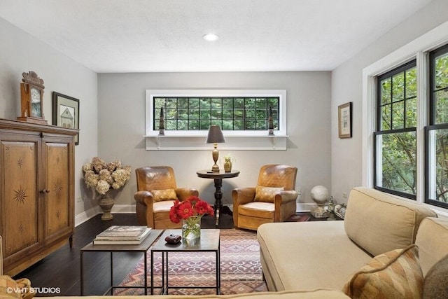 16191 4th Ln, Union Pier, MI 49129 - living room with recessed lighting, wood finished floors, a wealth of natural light, and baseboards