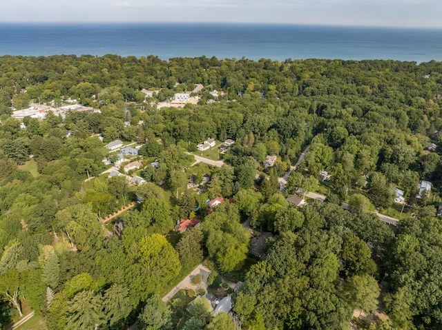 16191 4th Ln, Union Pier, MI 49129 - birds eye view of property featuring a view of trees and a water view