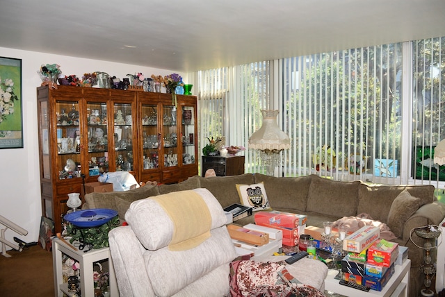 living area featuring carpet floors
