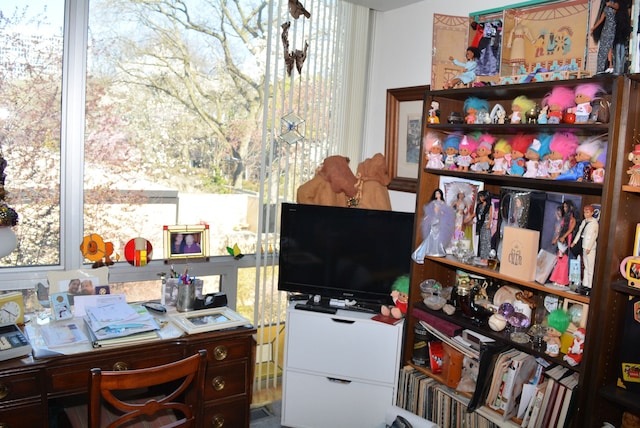 home office with a wealth of natural light