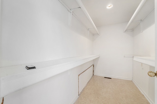 spacious closet featuring light colored carpet