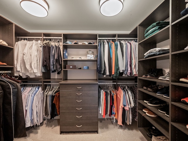view of walk in closet