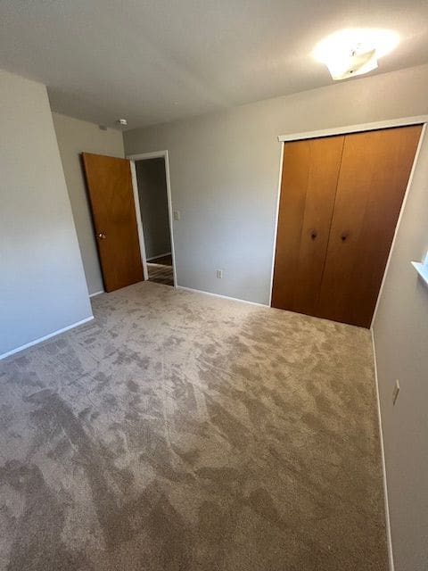 unfurnished bedroom featuring carpet flooring, baseboards, and a closet