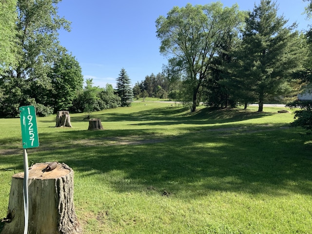 surrounding community with a yard