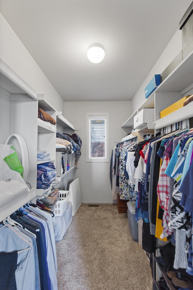 walk in closet featuring carpet flooring