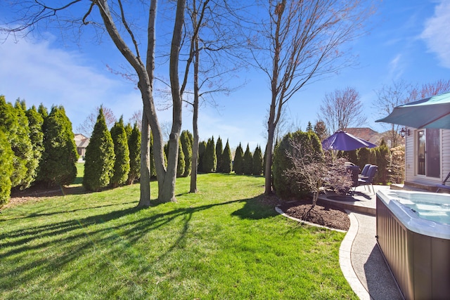 view of yard featuring a hot tub