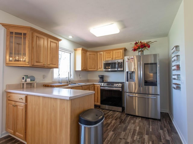 333 Quarterline St, Newaygo, MI 49337 - kitchen with a peninsula, a sink, dark wood-type flooring, and appliances with stainless steel finishes