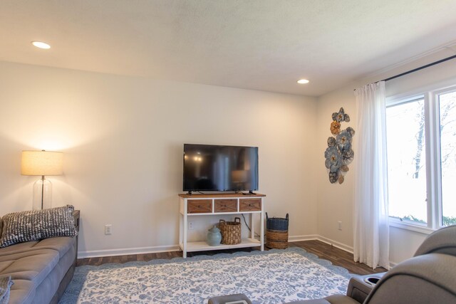 333 Quarterline St, Newaygo, MI 49337 - living area featuring recessed lighting, wood finished floors, and baseboards