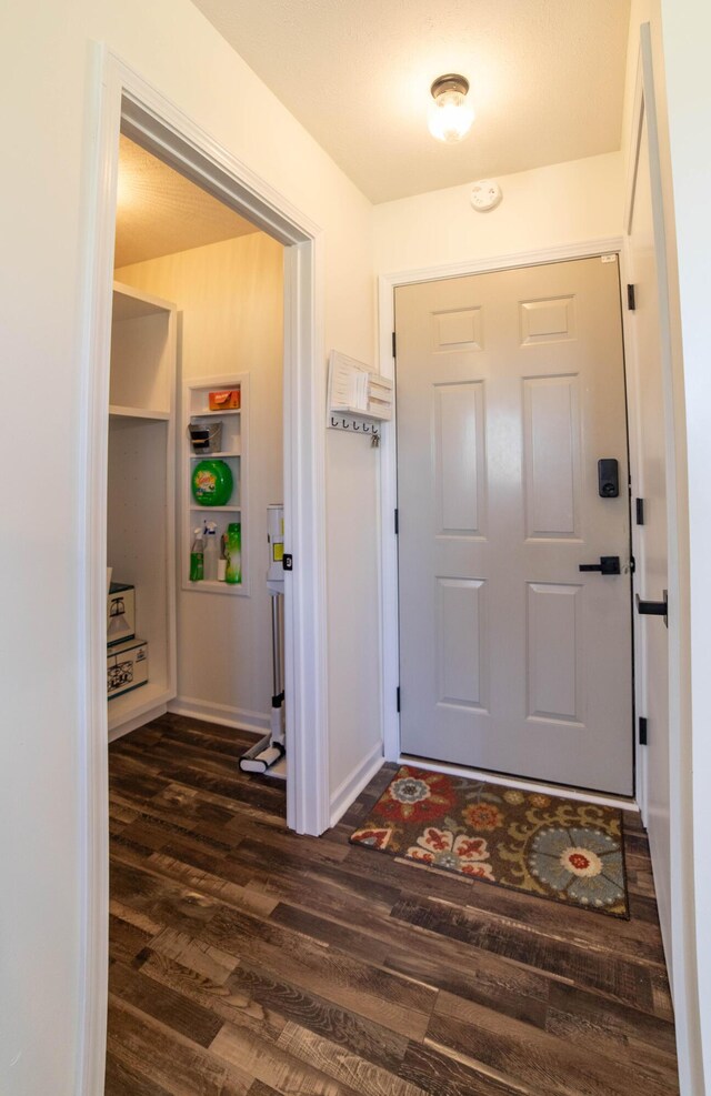 333 Quarterline St, Newaygo, MI 49337 - foyer entrance with dark wood finished floors