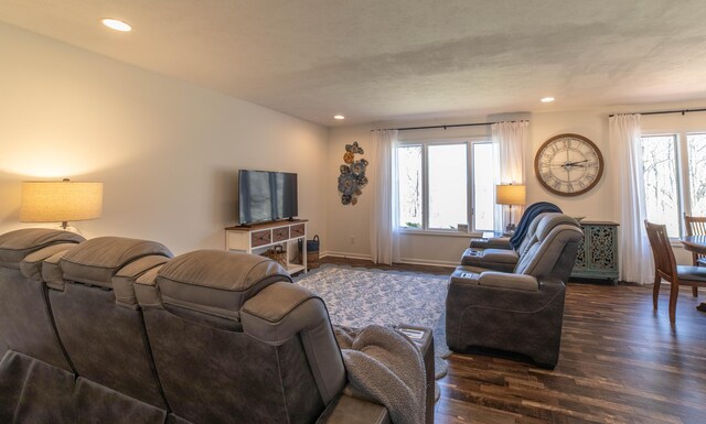 333 Quarterline St, Newaygo, MI 49337 - living room with baseboards, recessed lighting, and dark wood finished floors