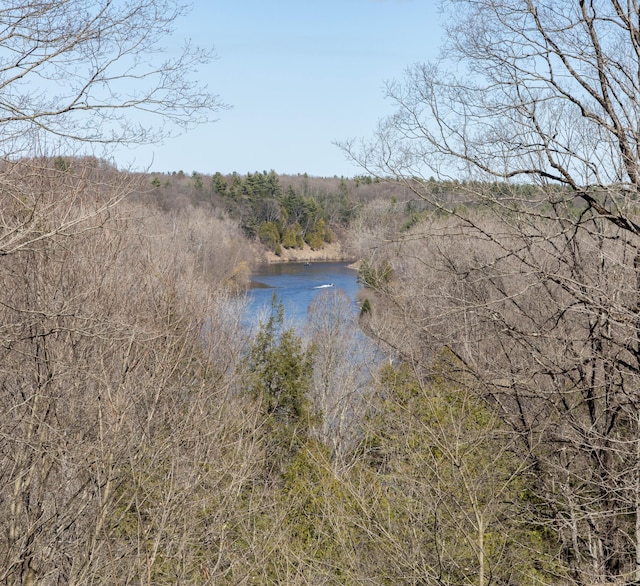 333 Quarterline St, Newaygo, MI 49337 - property view of water