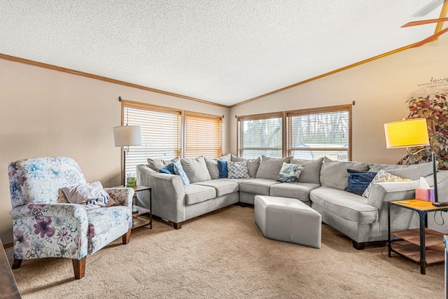 6545 Hiller Ave, Whitmore Lake, MI 48189 - living area with plenty of natural light, ornamental molding, lofted ceiling, light carpet, and a textured ceiling