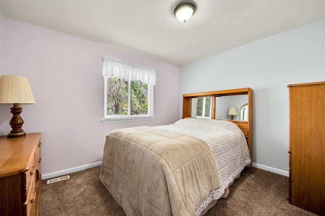 19737 Clement Rd, Northville, MI 48167 - bedroom with carpet and baseboards