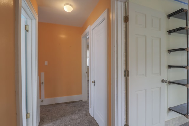 324 Albany St, Ferndale, MI 48220 - corridor with carpet flooring and baseboards