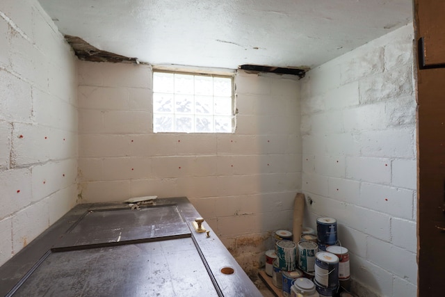 324 Albany St, Ferndale, MI 48220 - basement with concrete block wall