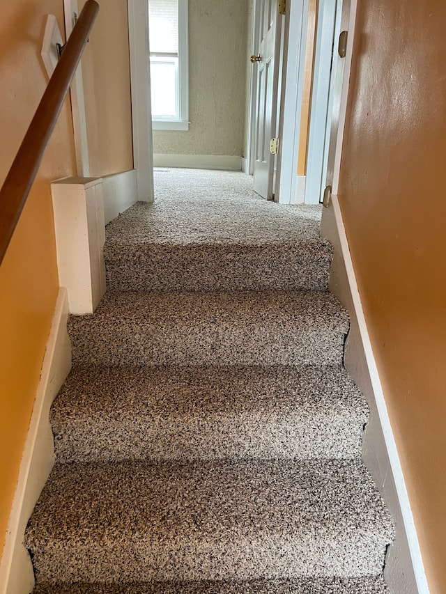 324 Albany St, Ferndale, MI 48220 - staircase with carpet flooring