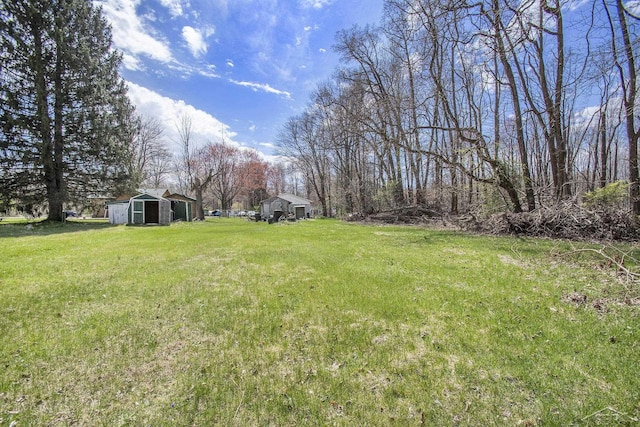 view of yard featuring an outbuilding