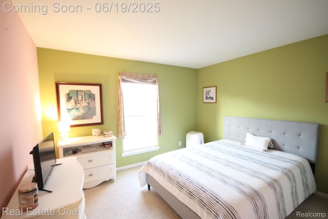 49499 Great Falls Rd, Canton, MI 48188 - photo 24