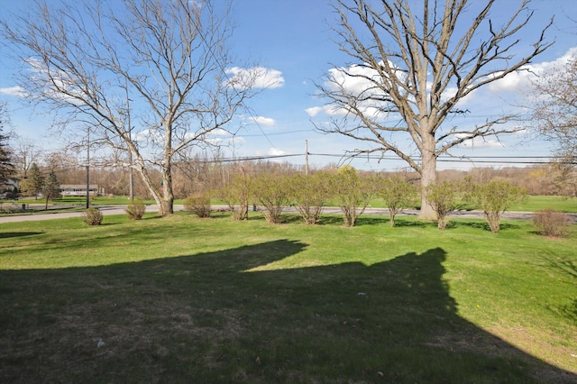 view of yard