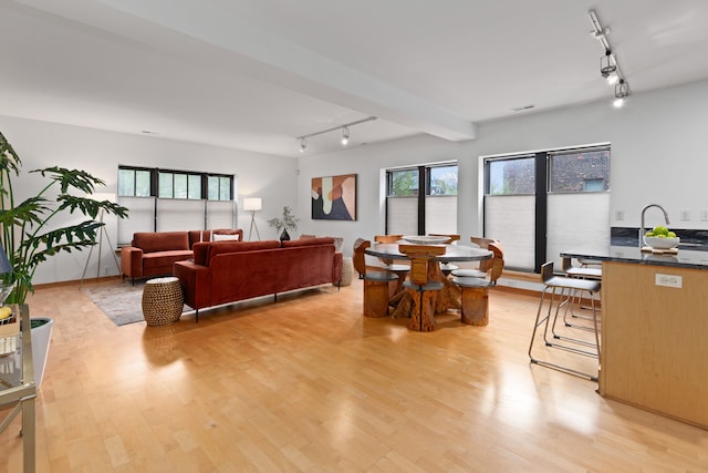 living area featuring plenty of natural light, rail lighting, and light wood-style floors