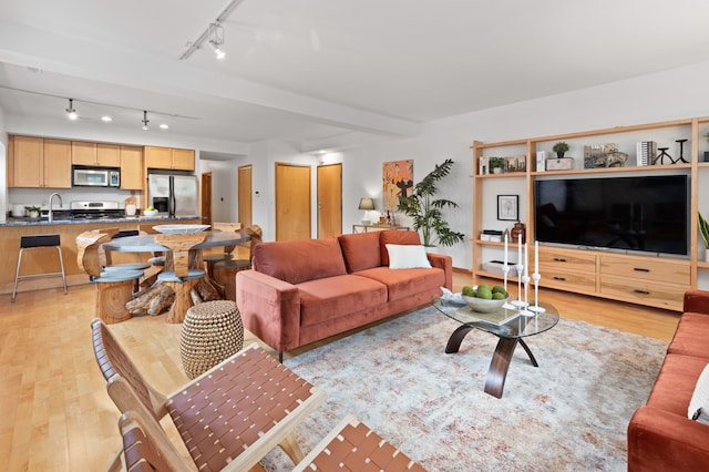 living area with track lighting and light wood finished floors