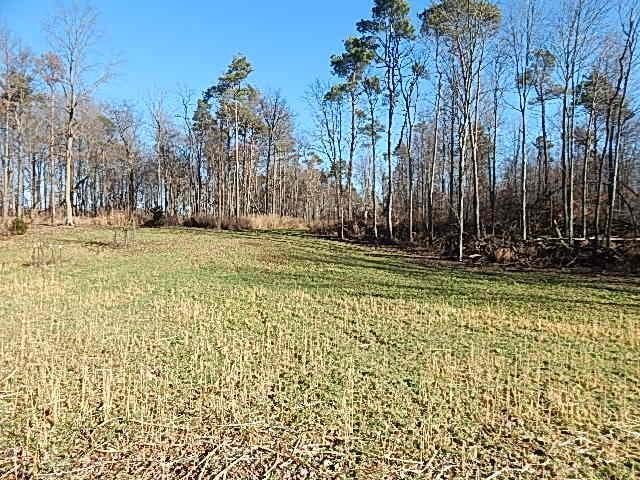 view of grassy yard