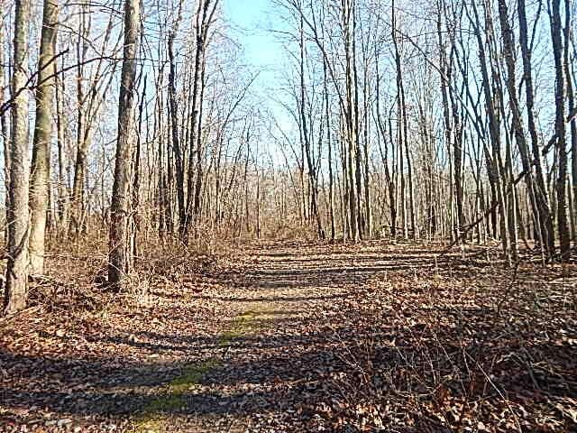 view of undeveloped land