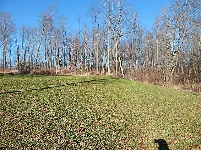 view of grassy yard
