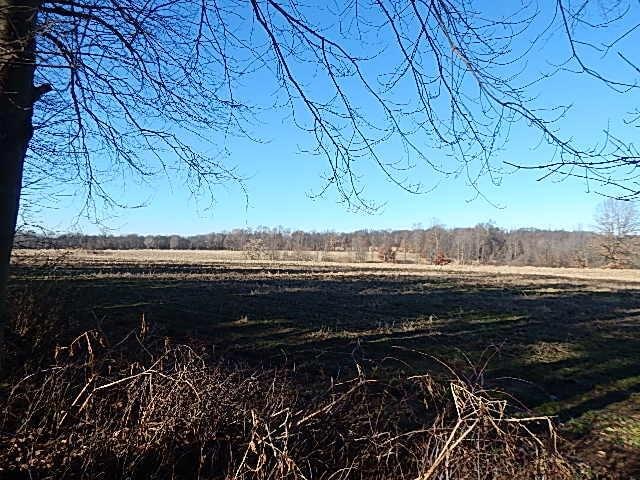view of yard with a rural view