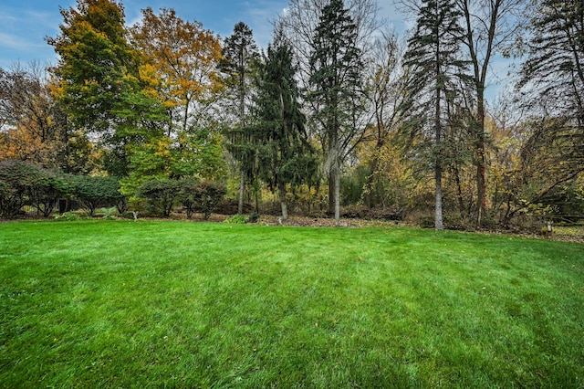 3052 Westman Ct, Bloomfield Hills, MI 48304 - view of yard