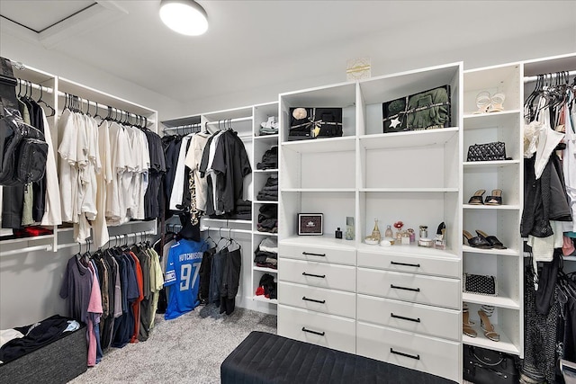 14105 Jode Park, Shelby Twp, MI 48315 - spacious closet with carpet flooring