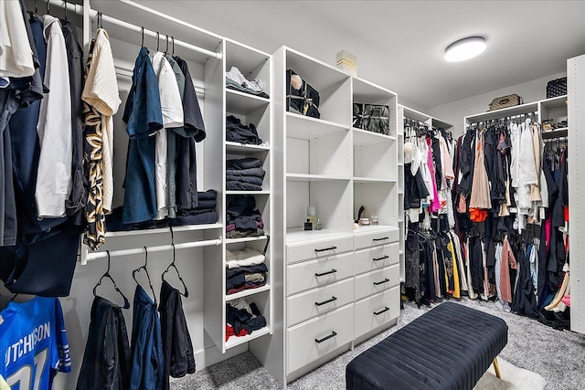 14105 Jode Park, Shelby Twp, MI 48315 - spacious closet with carpet flooring