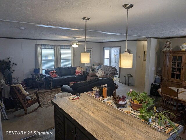 interior space with plenty of natural light, a ceiling fan, and a textured ceiling