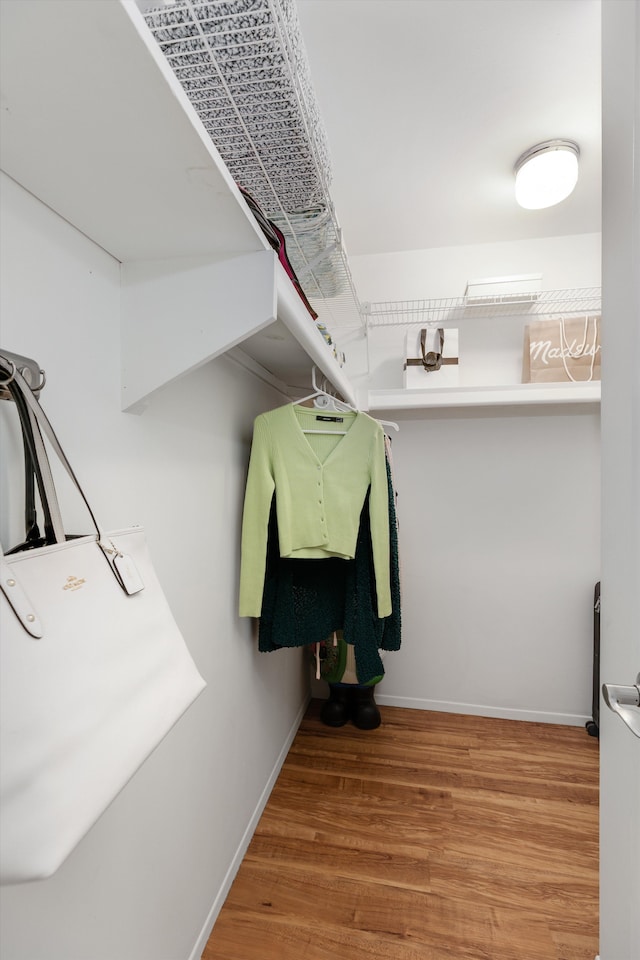 walk in closet featuring wood finished floors