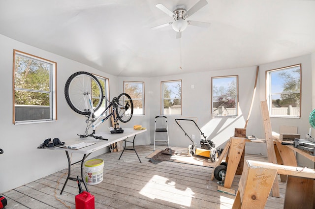 home office with a ceiling fan and hardwood / wood-style flooring