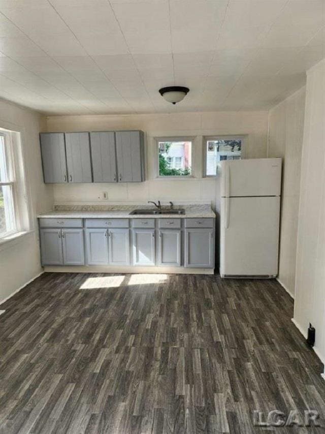 kitchen with a sink, dark wood-style flooring, freestanding refrigerator, gray cabinets, and light countertops