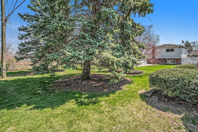 view of yard