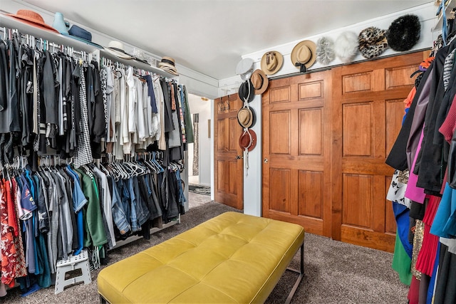 spacious closet with carpet flooring
