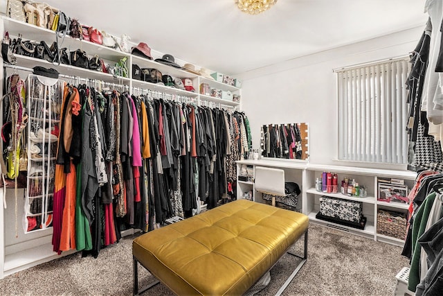 walk in closet featuring carpet