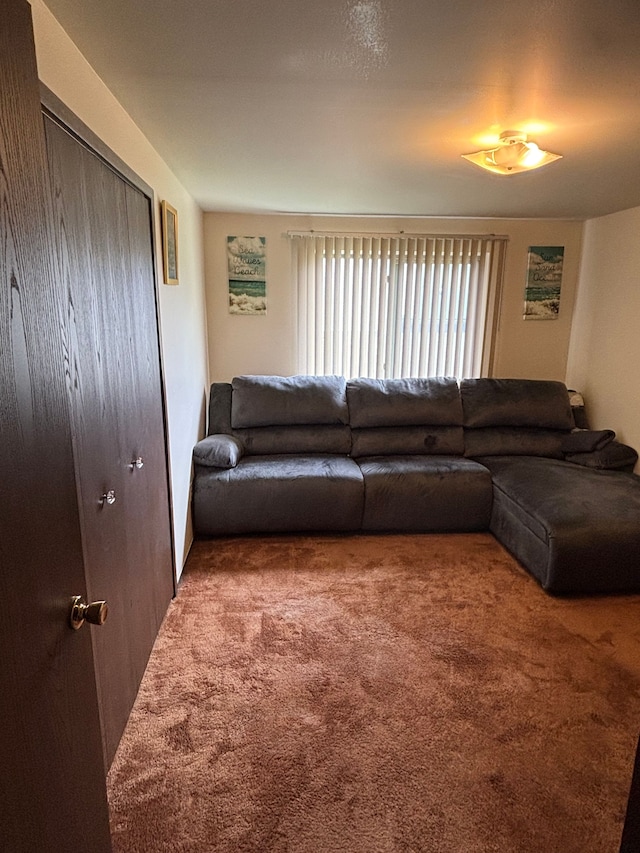 living room featuring carpet floors