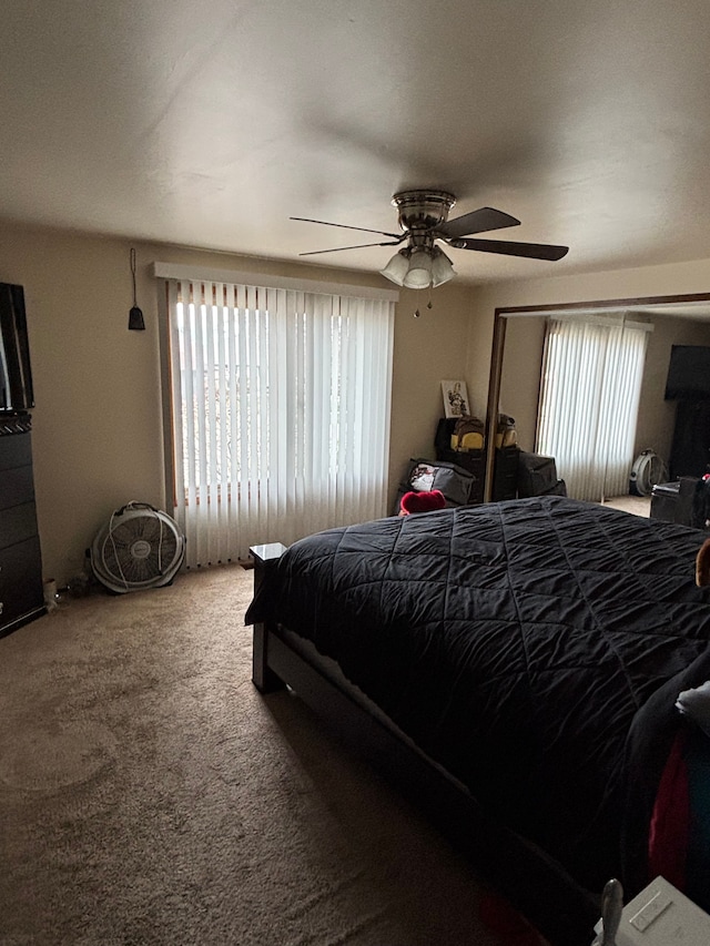 bedroom featuring carpet, a ceiling fan, and multiple windows