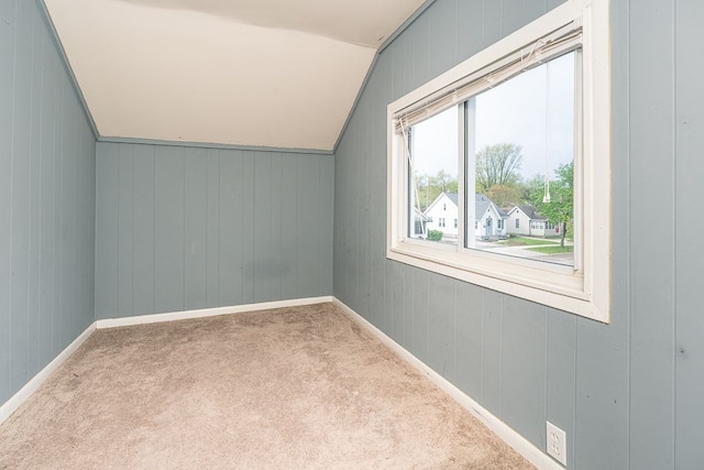 additional living space featuring carpet floors and vaulted ceiling