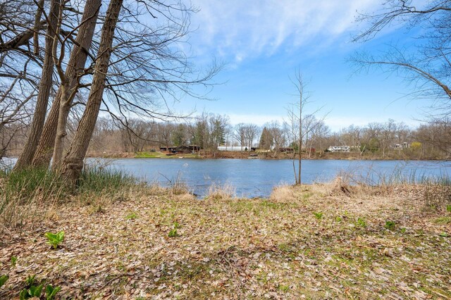2801 Niles Buchanan Rd, Buchanan, MI 49107 - property view of water