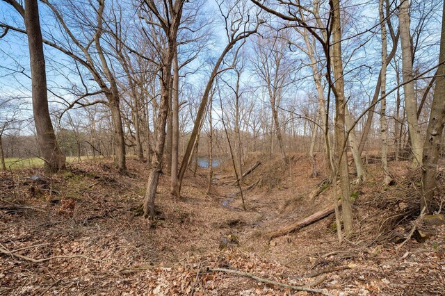 2801 Niles Buchanan Rd, Buchanan, MI 49107 - view of landscape