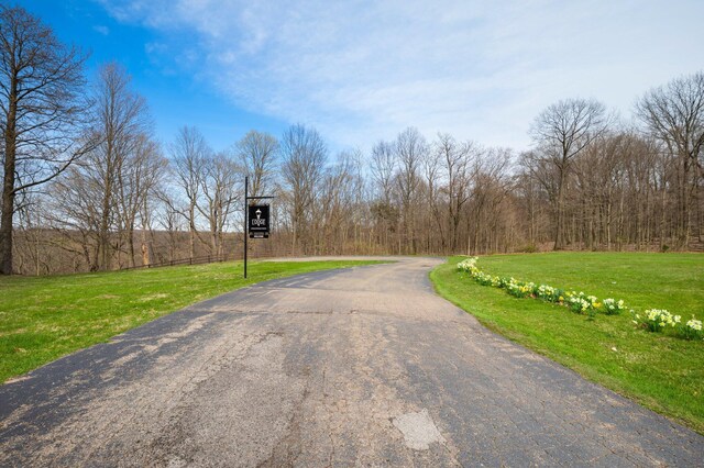 2801 Niles Buchanan Rd, Buchanan, MI 49107 - view of road