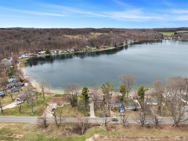 birds eye view of property with a forest view and a water view